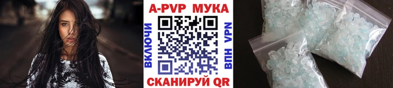 Alfa_PVP СК Новозыбков