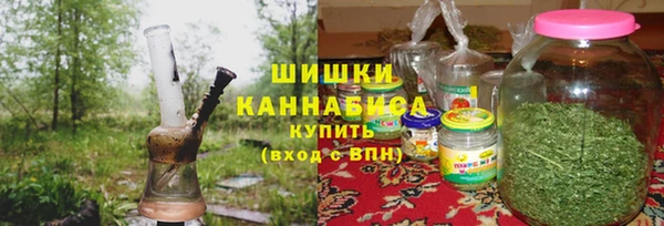 МДПВ Новозыбков