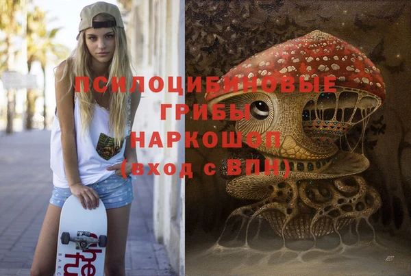 МДПВ Новозыбков