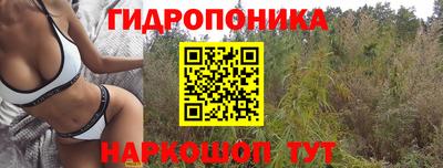 круглые Донской
