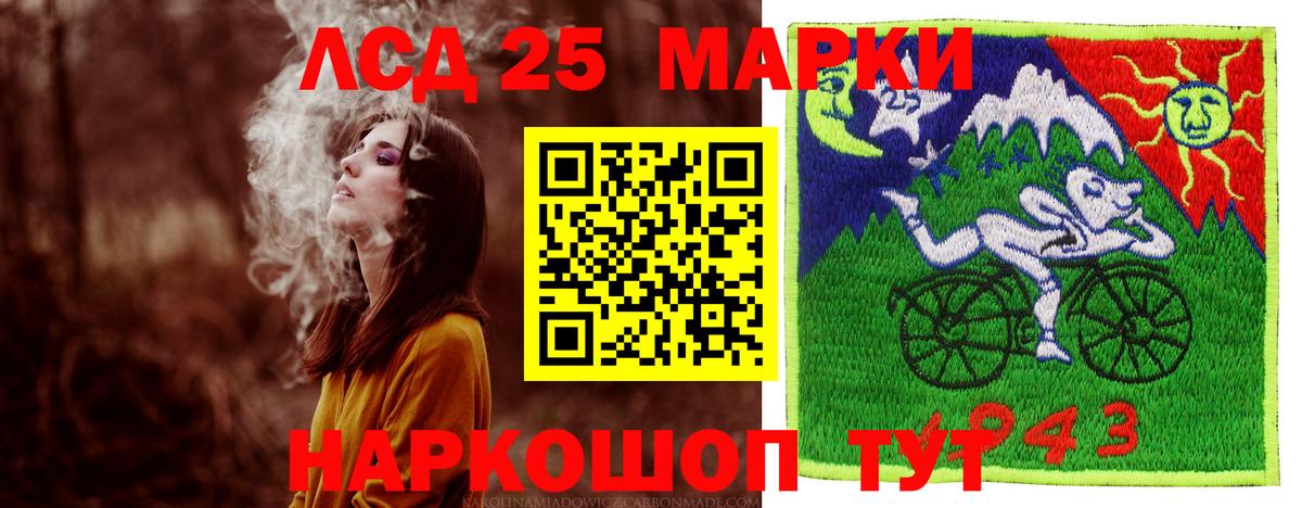 Новозыбков  LSD-25 экстази кислота  гидра рабочий сайт  Вход с VPN  Лсд 25 экстази кислота 