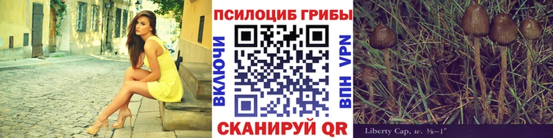 Псилоцибиновые грибы Magic Shrooms  Новозыбков 