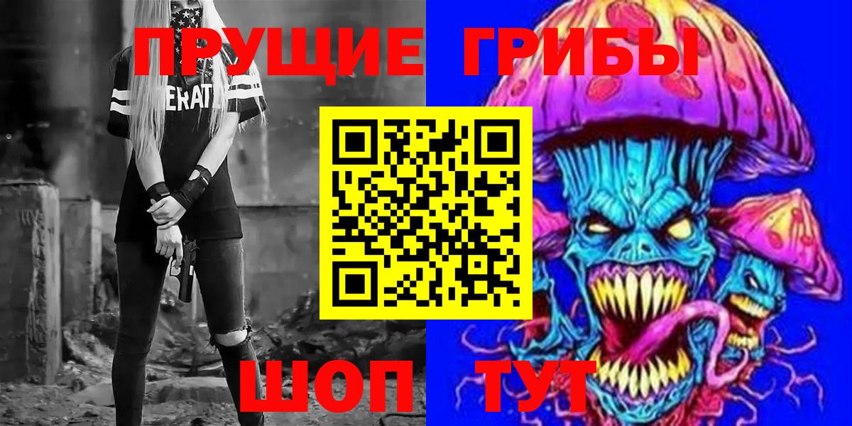Новозыбков  Галлюциногенные грибы Magic Shrooms  Псилоцибиновые грибы MAGIC MUSHROOMS  купить наркотик  Вход с VPN 
