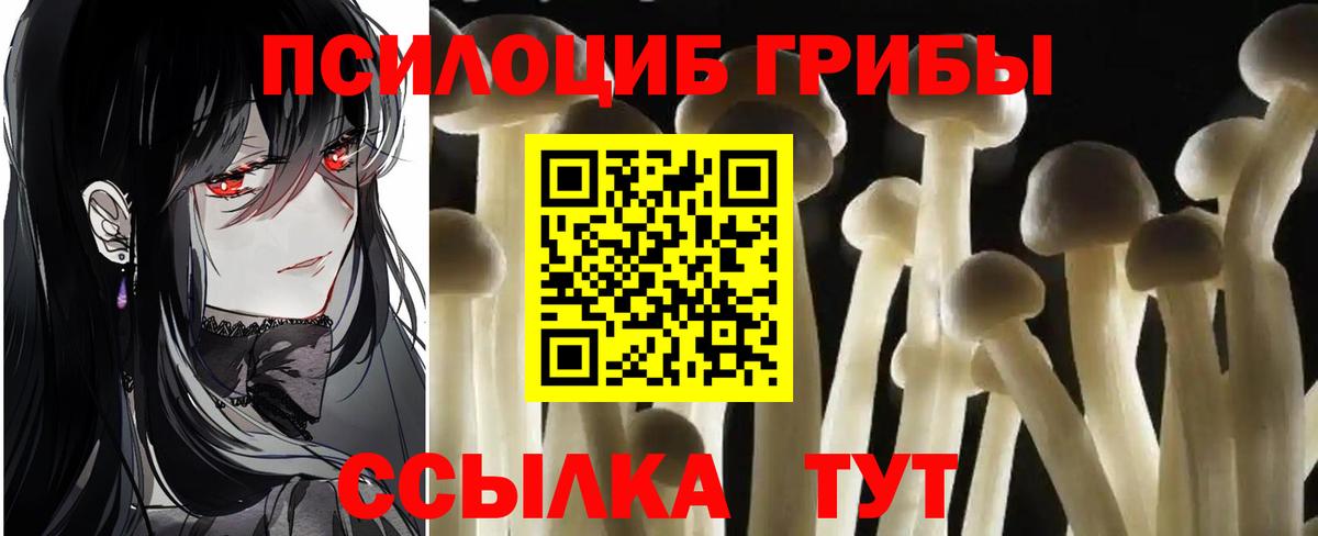 COCAIN  Вход с VPN  Бошки Шишки  МЕФ кристаллы  ЭКСТАЗИ  Новозыбков  Бошки Шишки  ГАШИШ  ГАШ 