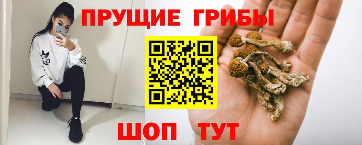 Псилоцибиновые грибы MAGIC MUSHROOMS Новозыбков